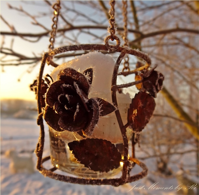 Weihnachtsbild Gartendeko Lampe mit Rose gefrostet
