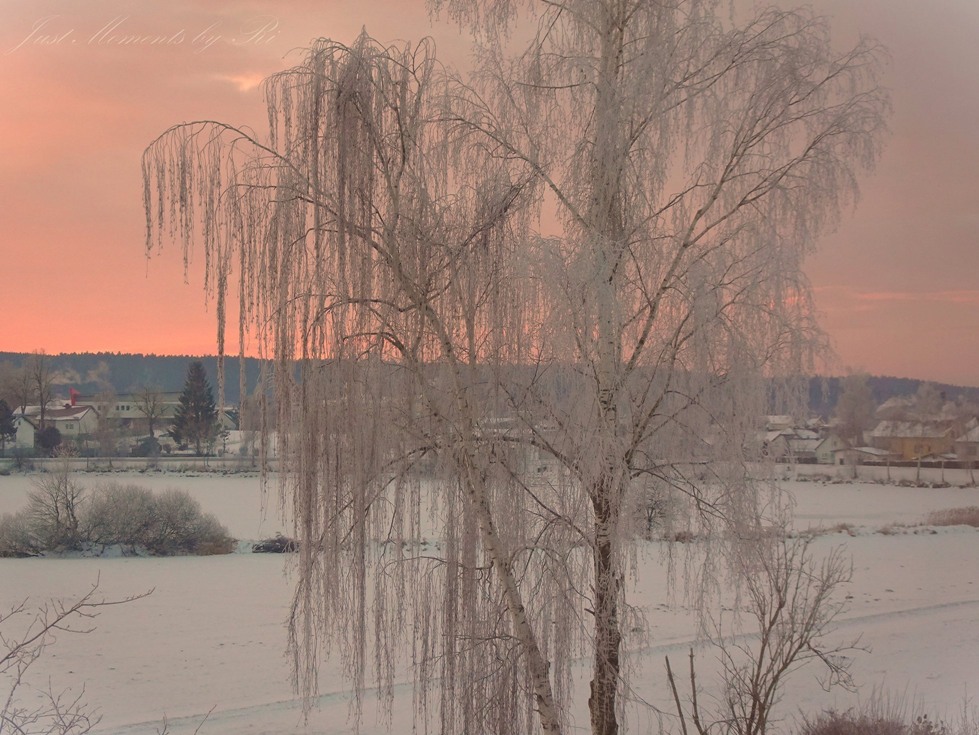 Morgenröte im Winter