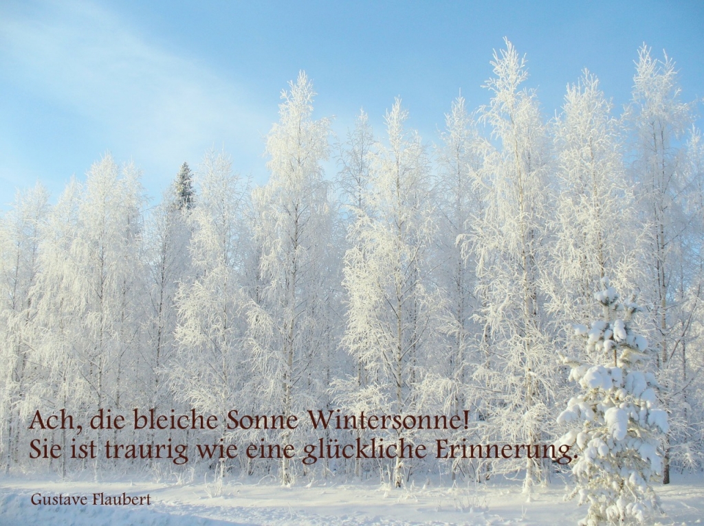 Winterlandschaft mit Spruch von G. Flaubert
