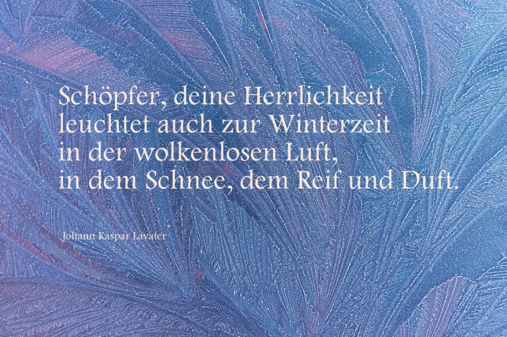 Hintergrund Eisblumen Spruch von J.K.Lavater