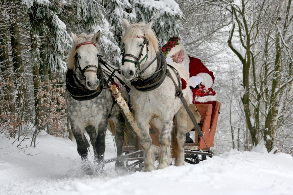 Weihnachtsbild Nikolaus mit Schlitten