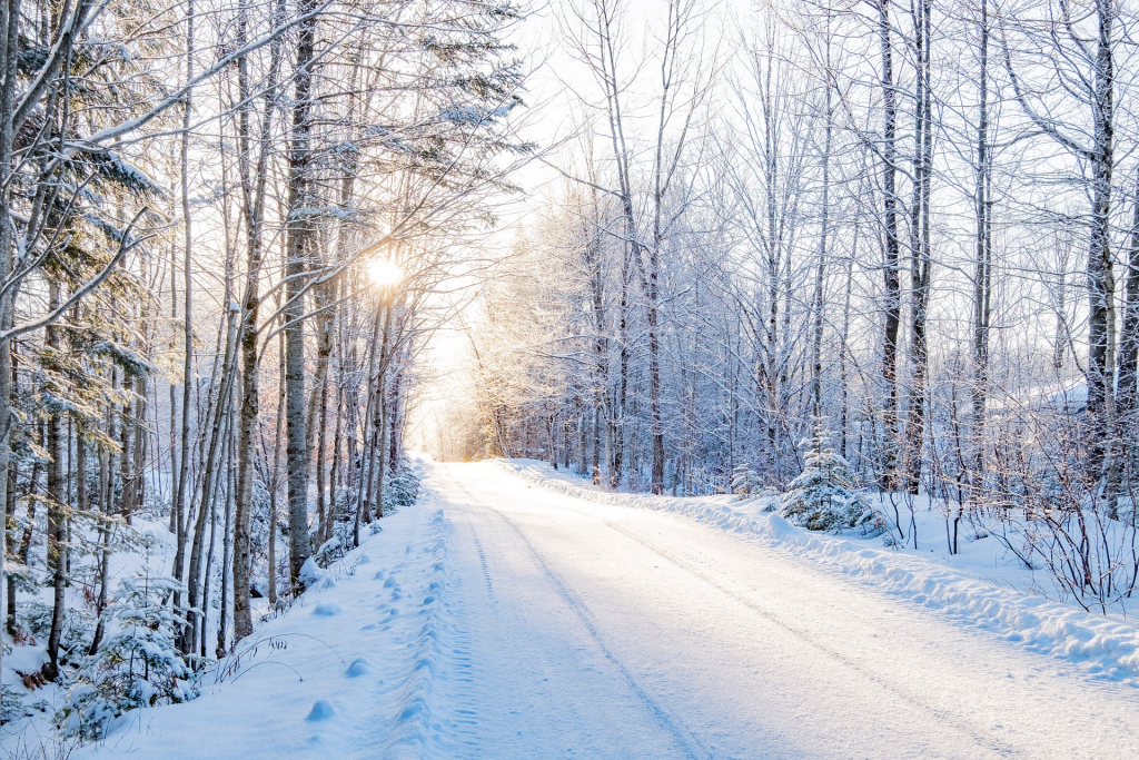 Winterbild schneebedeckter Waldweg