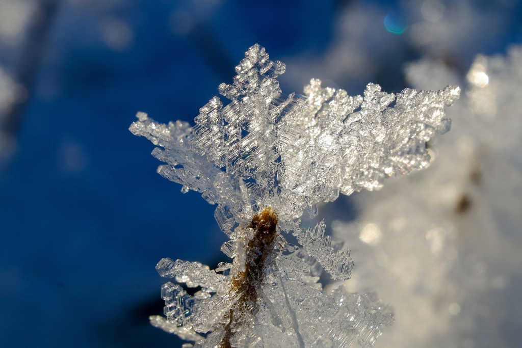 Gebilde aus Eiskristallen