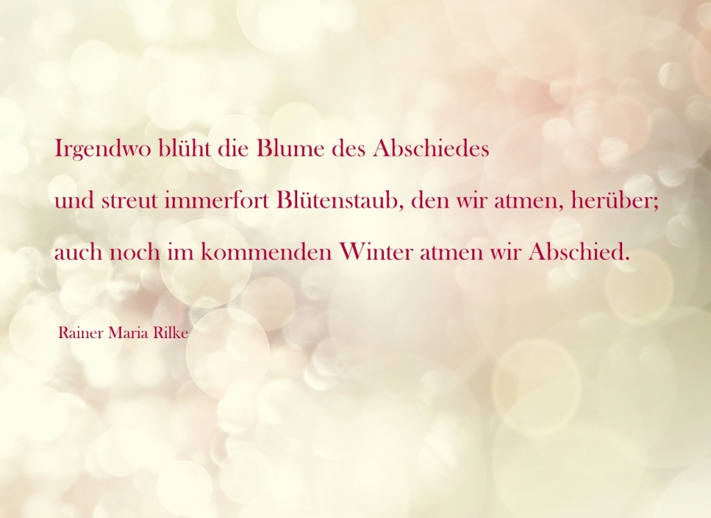 Spruch auf Bild / Rainer Maria Rilke