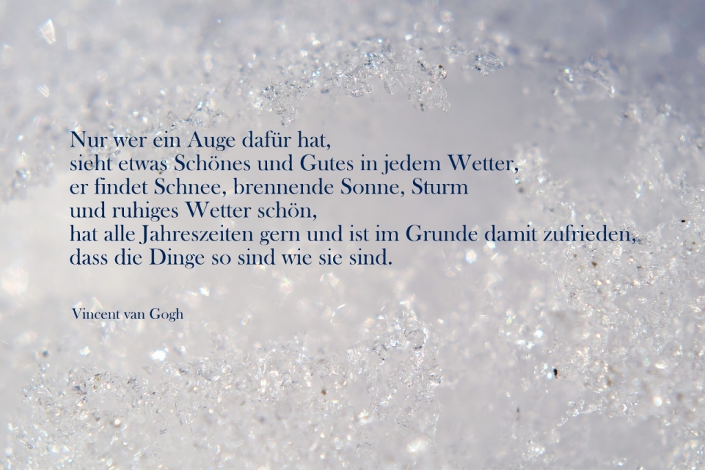 Spruchbild Hintergrund Eis - Spruch von Vincent van Gogh