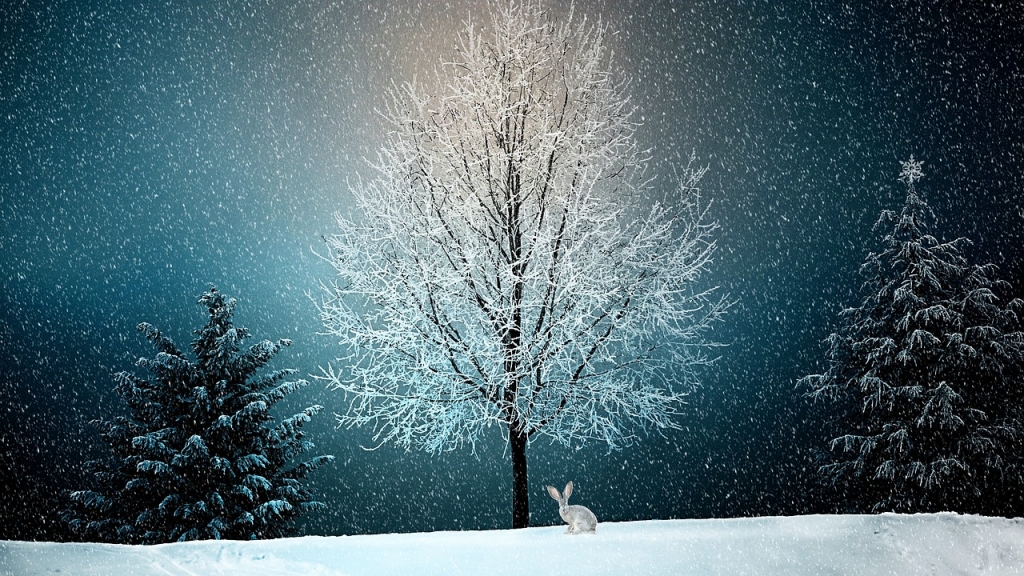 Schneelandschaft Abend - Märchenhaft