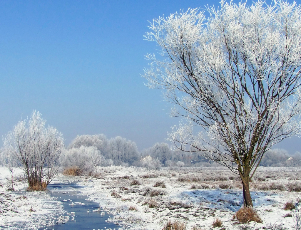 Winterlandschaft
