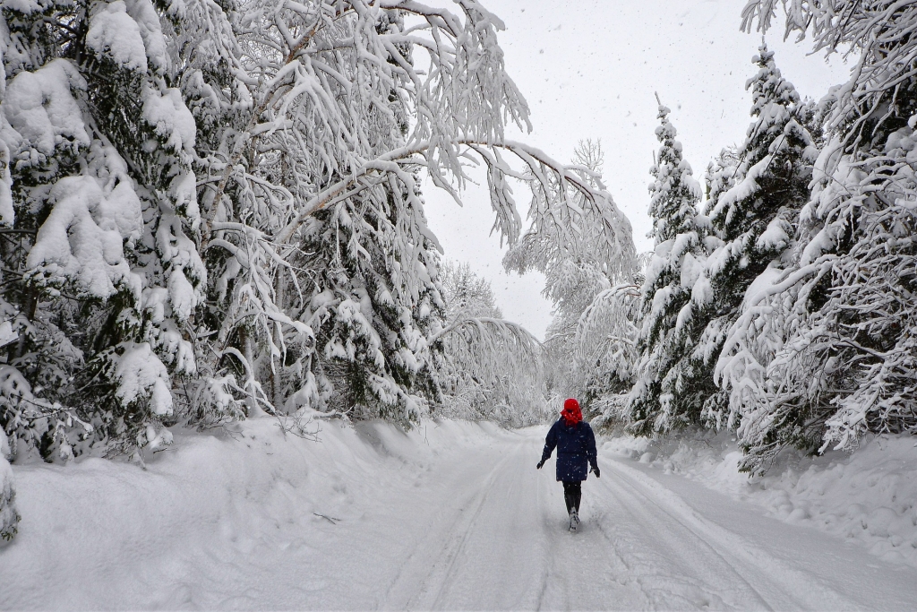 Winterlandschaft mit Fußgängerin